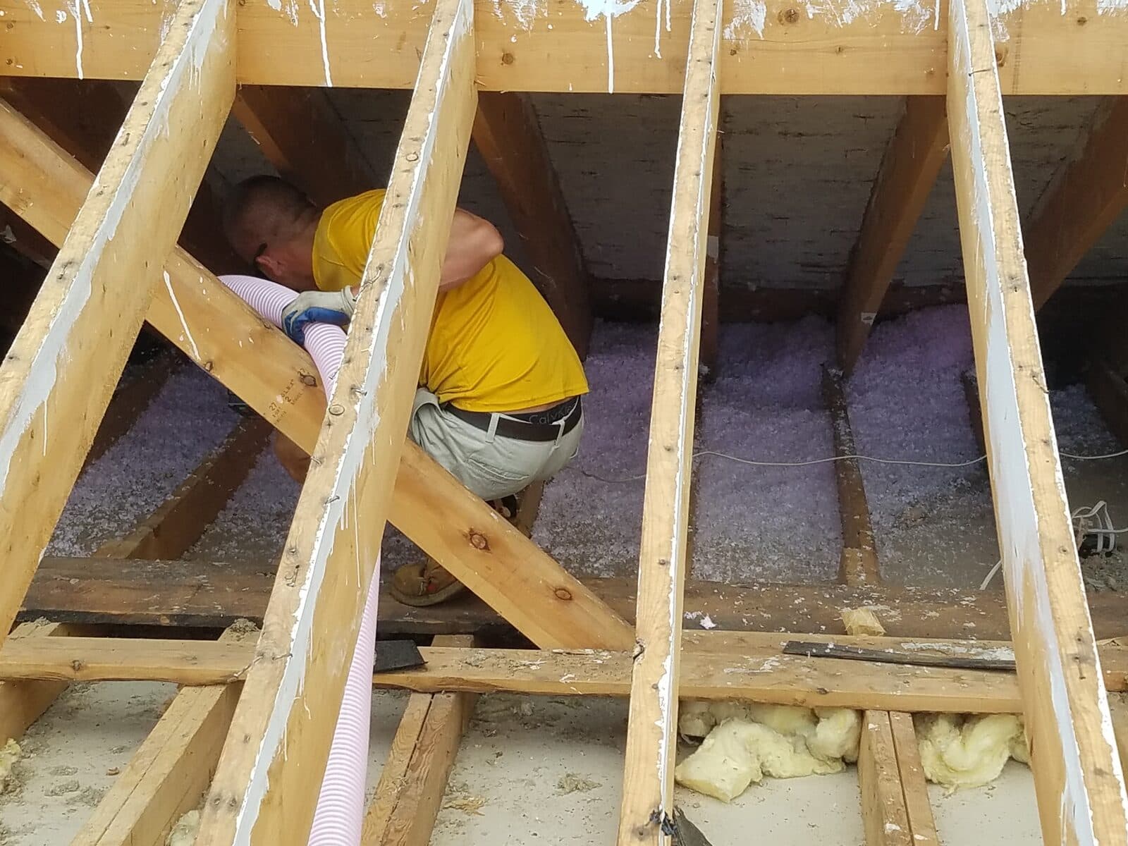 A Voss technician vacuuming contaminated insulation out from between attic rafters