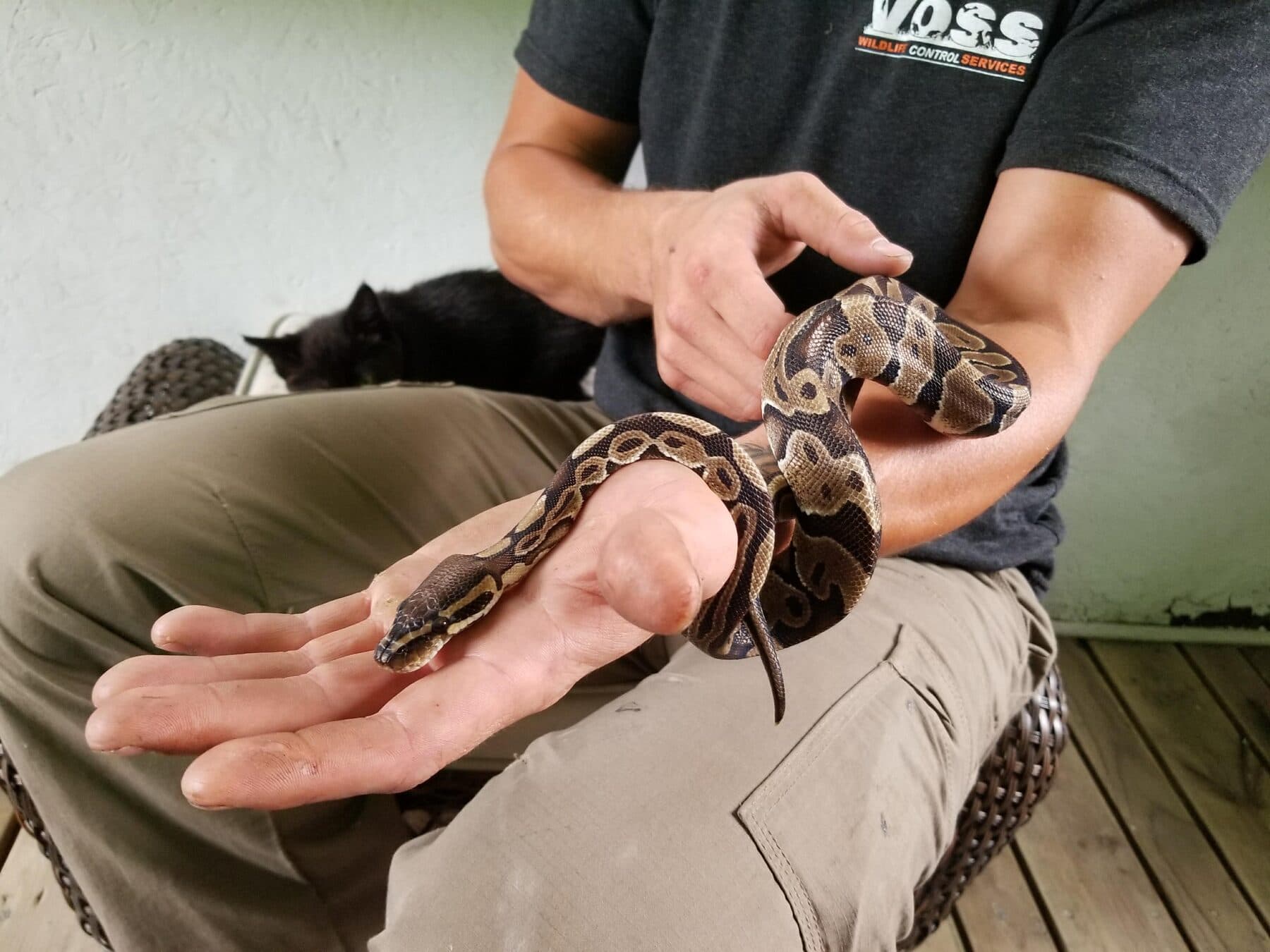 A technician holding a snake in both hands