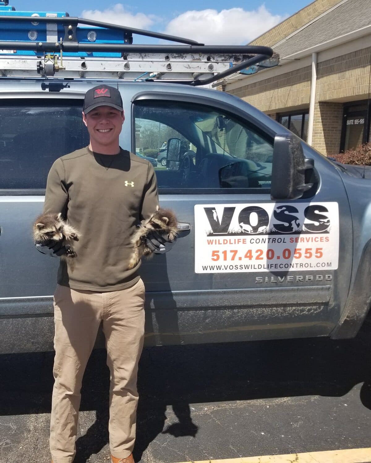 A Voss Wildlife Control technician holding two raccoons in front of the company truck